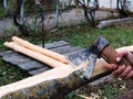 Cutting bark from an ash log with a hatchet Royalty Free Stock Photo