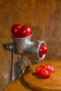 Grinding tomatoes Royalty Free Stock Photo