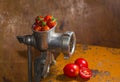 Grinding tomatoes Royalty Free Stock Photo