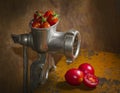 Grinding tomatoes Royalty Free Stock Photo