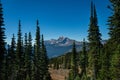 Grinnell Overlook via Granite Park Trail in Glacier National Park, wilderness area in Montana`s Rocky Mountains. USA. Royalty Free Stock Photo