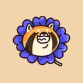 Grinning animal face. Cute fluffy dog smile in flower, funny puppy shiba, satisfied pup muzzle, lovely akita inu