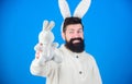 Grinning bearded man wear silly bunny ears. Easter symbol concept. Hipster cute bunny long ears blue background. Easter