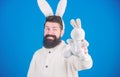 Grinning bearded man wear silly bunny ears. Easter symbol concept. Hipster cute bunny long ears blue background. Easter