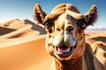 Grinning Camel Comedy: Funny Portrait of a Camel with an Exaggerated Grin, Squinting Eyes, Gazing Directly into the Camera