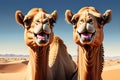 Grinning Camel Comedy: Funny Portrait of a Camel with an Exaggerated Grin, Squinting Eyes, Gazing Directly into the Camera