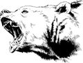 Grinning face of a snarling bear painted by hand on a white background sketch