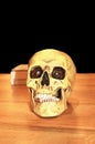 Grinning scull and book on a table, black background