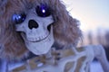 Grinning Skeleton Royalty Free Stock Photo