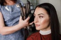 Grinning woman is getting hair done with zhuzh in salon Royalty Free Stock Photo