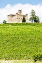 Grinzane Cavour Castle Royalty Free Stock Photo