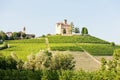 Grinzane Cavour Castle with vineyard, Piedmont, Italy Royalty Free Stock Photo