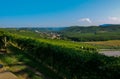 Grinzane Cavour, Piedmont, Italy. July 2018. At the foot of the castle all around heavenly views of the vineyards Royalty Free Stock Photo