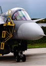 Gripen detail