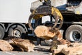 Gripper of a crane handling wood