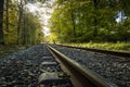 Railroad tracks in Gribskov Forest Royalty Free Stock Photo