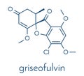 Griseofulvin antimycotic drug molecule. Used to treat fungal infections of the skin and nails. Skeletal formula. Royalty Free Stock Photo