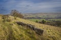 Grit drystone wall with tree looking to Stoodley pike Royalty Free Stock Photo