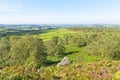 Gritstone rocks, heather and ferns cling Birchen Edge Royalty Free Stock Photo