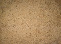 Gritty beach sand texture background Royalty Free Stock Photo