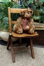 Grizzle the Teddy bear on a vintage chair.