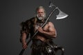 Grizzled elderly Viking warrior, displaying strength and wisdom Royalty Free Stock Photo