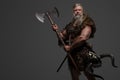 Grizzled elderly Viking warrior, displaying strength and wisdom Royalty Free Stock Photo