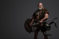 Grizzled elderly Viking warrior, displaying strength and wisdom Royalty Free Stock Photo