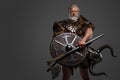 Grizzled elderly Viking warrior, displaying strength and wisdom Royalty Free Stock Photo