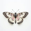 Grizzled Skipper Butterfly: Pink And Black Striped Wings On White Background