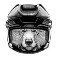 Grizzly bear, animal wearing hockey helmet. Hand drawn image of lion for tattoo, t-shirt, emblem, badge, logo, patch. Royalty Free Stock Photo