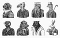 Grizzly Bear with a beer mug. Octopus sailor and Hare or Rabbit waiter. Dog officer and bird. Black panther and Bee