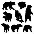 Grizzly bear detailed black and white vector silhouette set