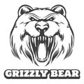 Grizzly bear head logo Royalty Free Stock Photo
