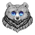 Grizzly bear Hipster style animal Image for tattoo, logo, emblem, badge design