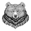 Grizzly bear Hipster style animal Image for tattoo, logo, emblem, badge design
