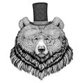 Grizzly bear Hipster style animal Image for tattoo, logo, emblem, badge design