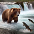 Grizzly bear hunts for salmon in white water river