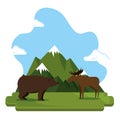 Grizzly bear and moose canadian scene Royalty Free Stock Photo