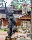 Grizzly Bear Playing Basketball