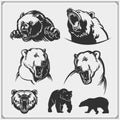 Grizzly bear, polar bear, brown bear silhouettes and illustrations. Labels, emblems and design elements for sport club.