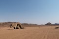 Grizzly bear rock in the arid landscape of Kaokoveld, Namibia, a popular tourist destination in Namibia