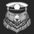 Grizzly bear. Sailor capitan hat. Portrait of wild animal.