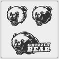 Grizzly bear silhouettes and illustrations. Labels, emblems and design elements for sport club with grizzly bear. Print design for