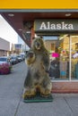 Grizzly bear specimen in downtown Anchorage Alaska, AK, USA