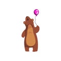 Grizzly bear standing with purple glossy balloon