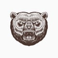 Grizzly Brown Bear. Screaming Mad Animal For Tattoo Or Label. Roaring Beast. Engraved Hand Drawn Line Art Vintage Old