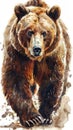 Grizzly brown bear walking vertical portrait design in watercolor
