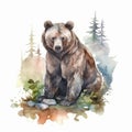 Grizzly brown bear watercolor painting, minimalism, paint stylized