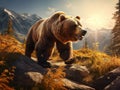 Grizzly in the golden light